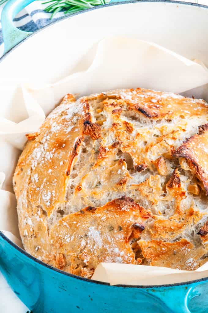 Easy Dutch Oven Bread with Roasted Garlic and Rosemary {No-Knead Bread} -  Killing Thyme