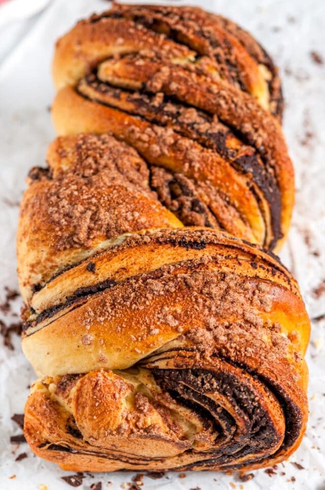 Cinnamon Chocolate Babka (Braided Bread) - Aberdeen's Kitchen