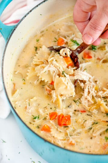 Creamy Chicken Noodle Soup - Aberdeen's Kitchen
