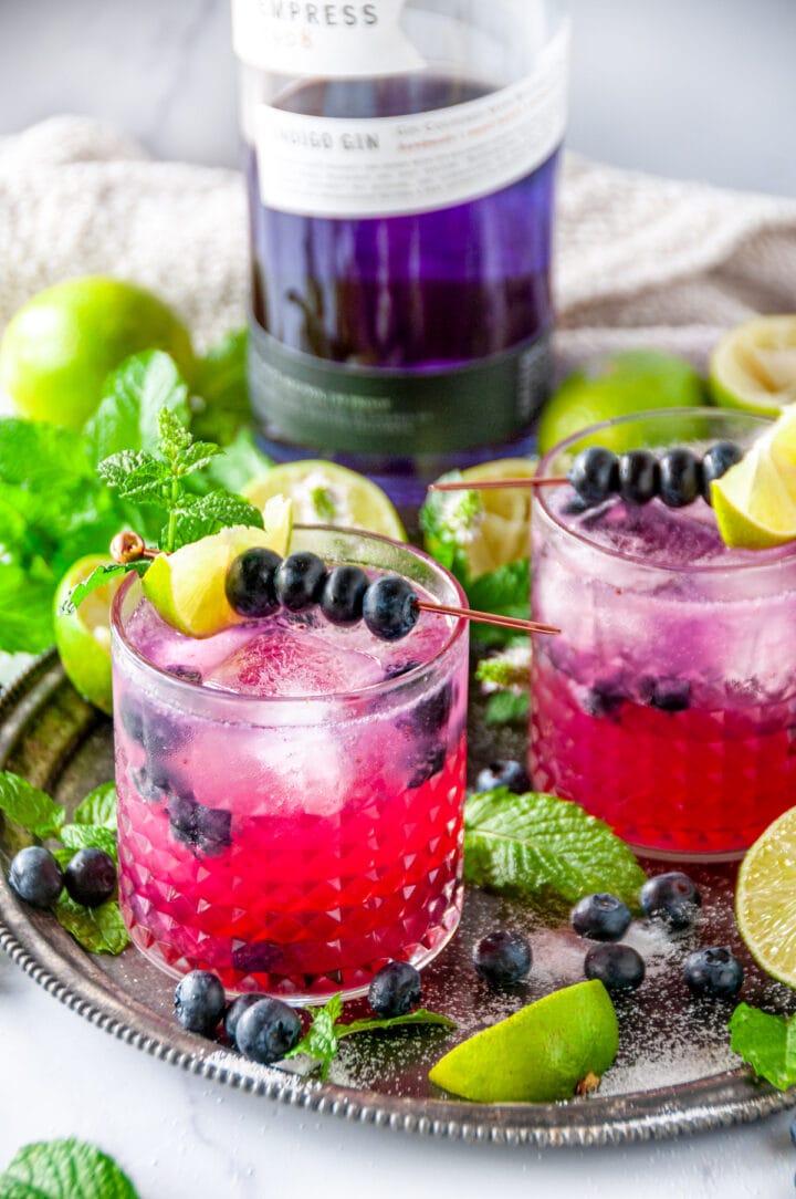 Blueberry Gin Mojito Cocktail - Aberdeen's Kitchen