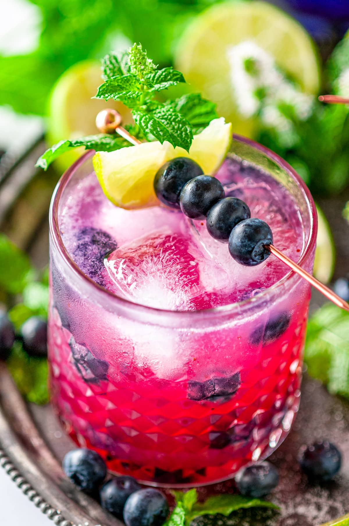 Blueberry Gin Mojito Cocktail-7 - Aberdeen's Kitchen